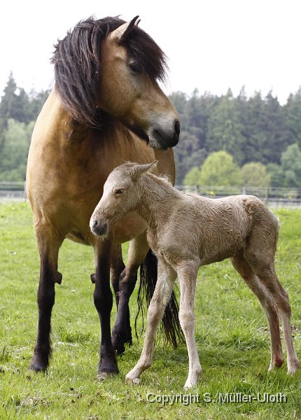 Hjoerdis 30 Min alt.JPG